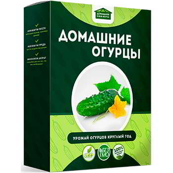 Мини ферма огурцы